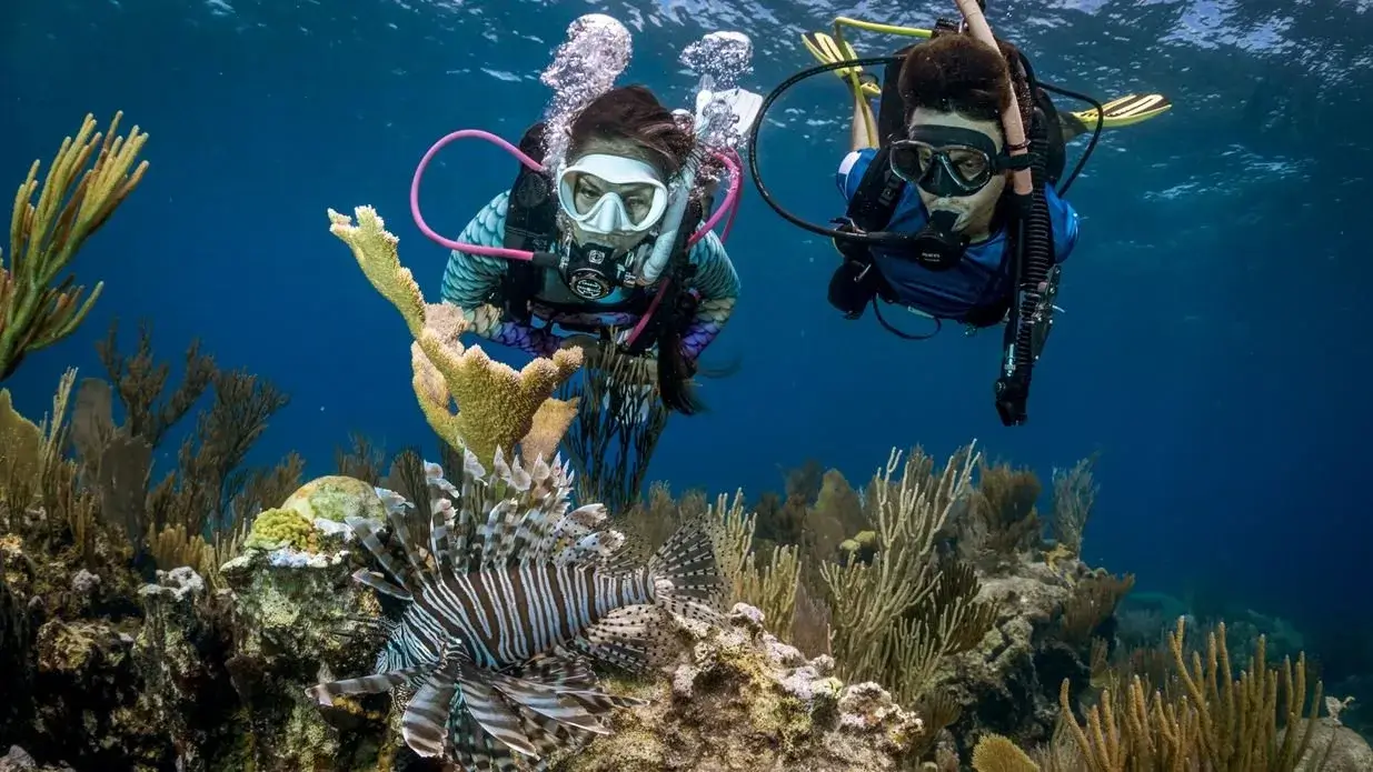 Advanced Open Water Diver